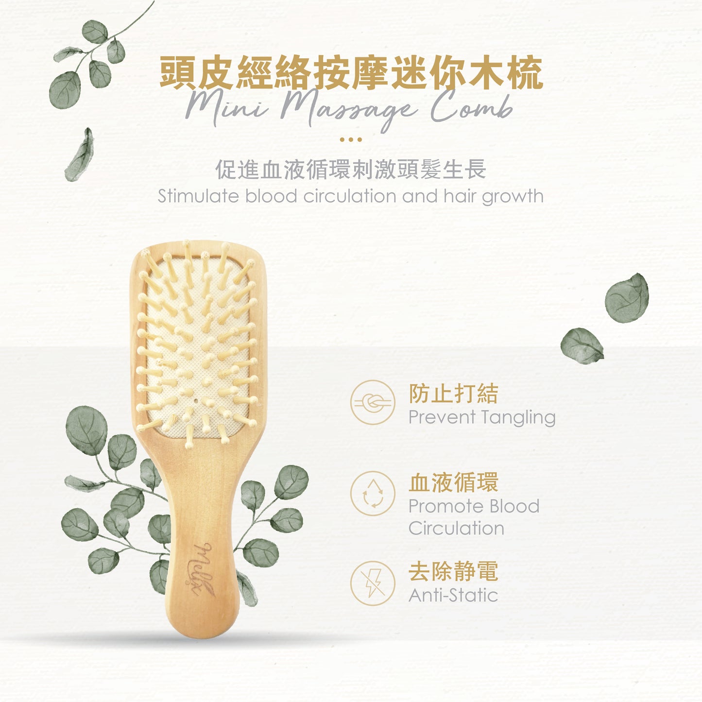 迷你生发防脱组合