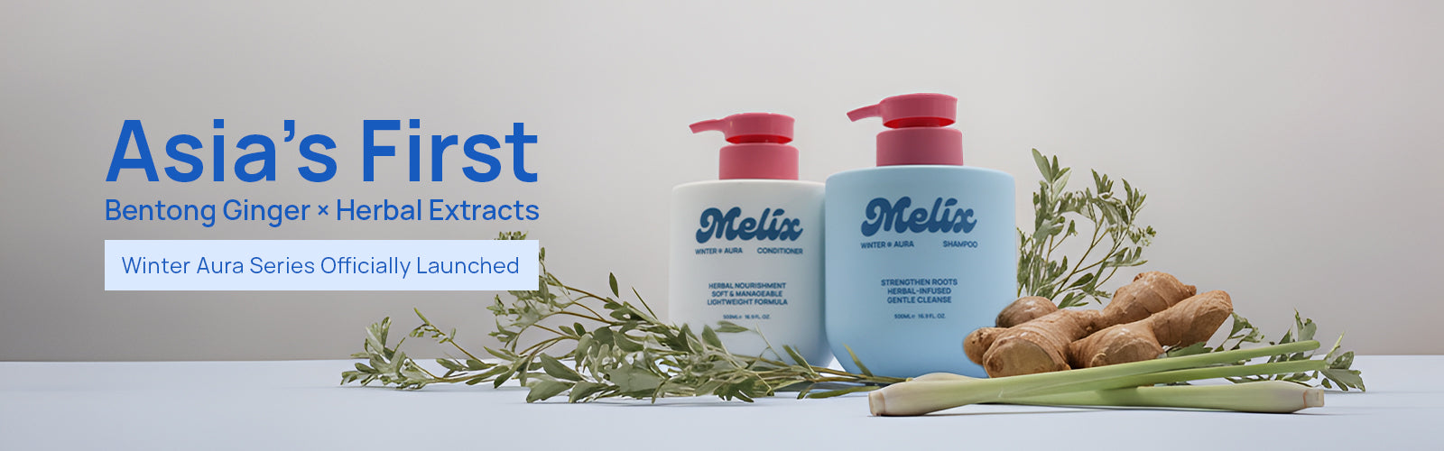 New Launch – Melix Malaysia