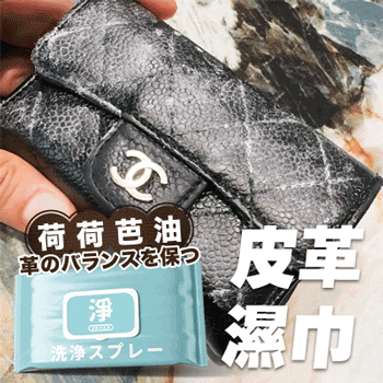 【PWP】汽車濕巾